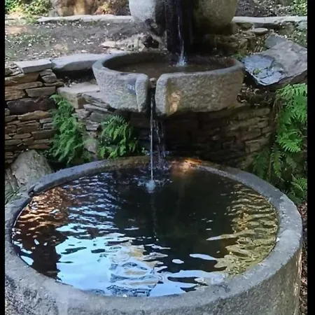 Quinta Da Azenha * Nespereira (Viseu)