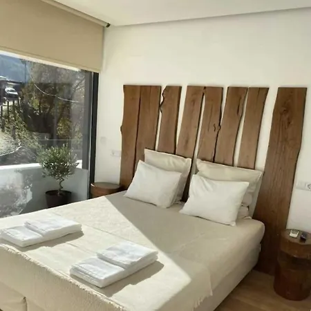 Villa Quinta Da Azenha Nespereira (Viseu)