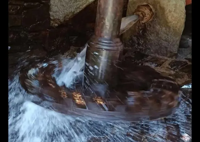 Quinta Da Azenha Willa