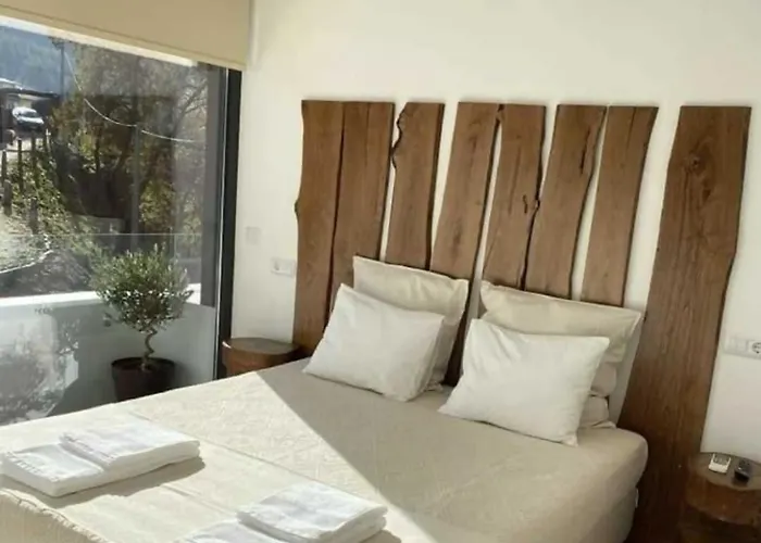 Willa Quinta Da Azenha Nespereira (Viseu)